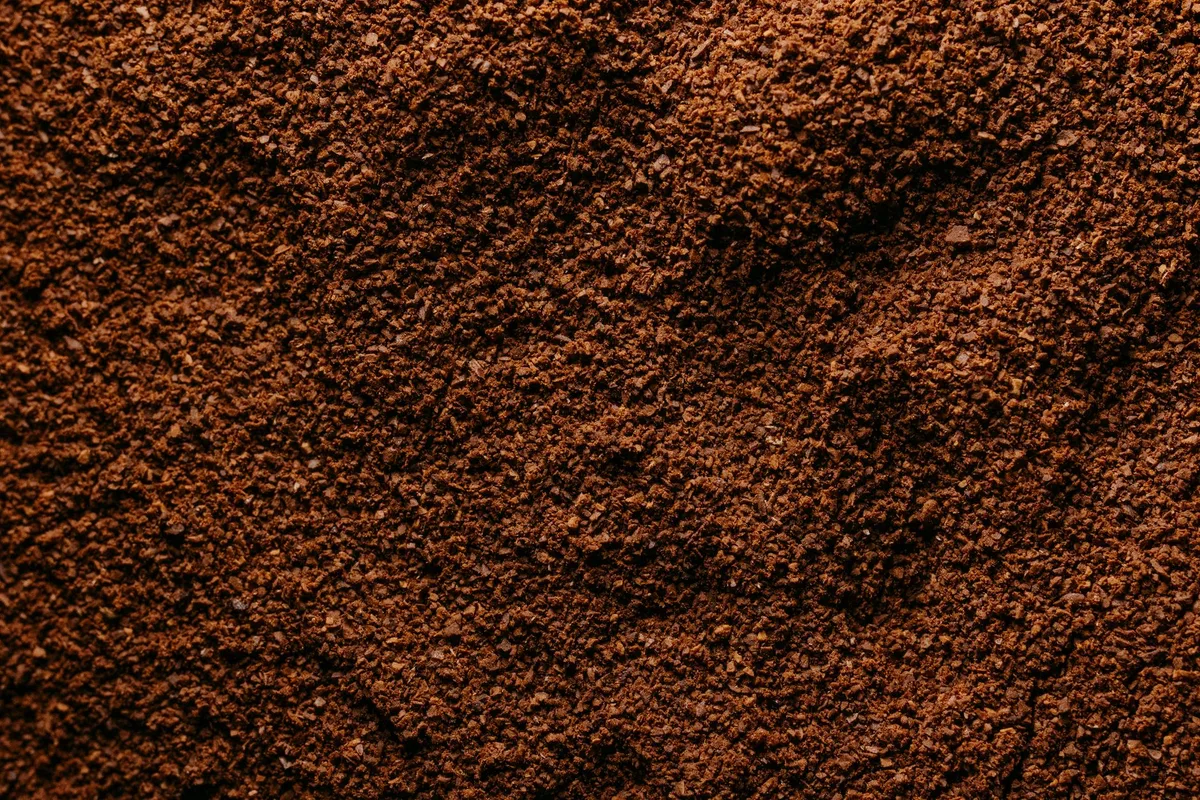 burr vs blade grinding consistency