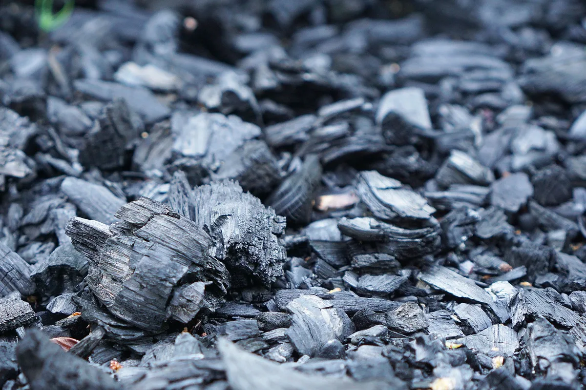 microwave charcoal filter