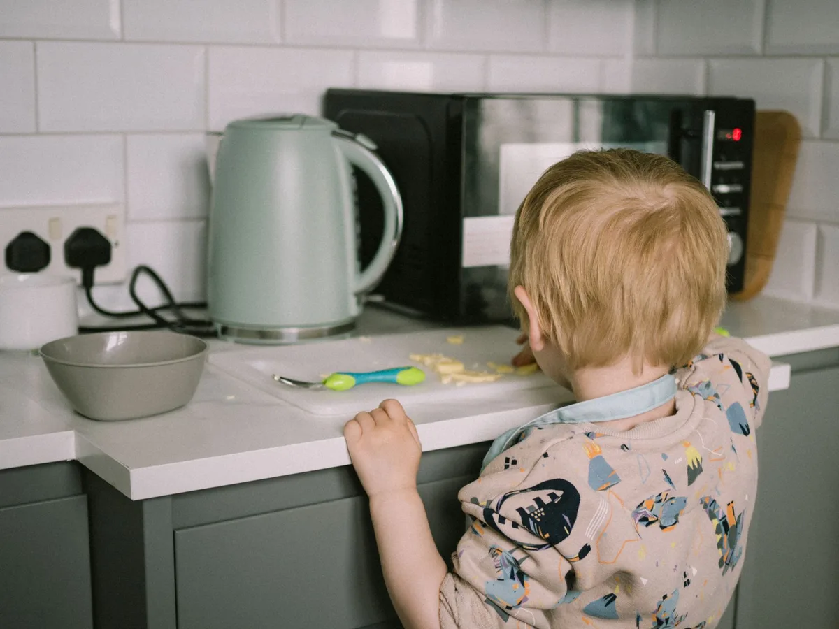 microwave defrosting principles