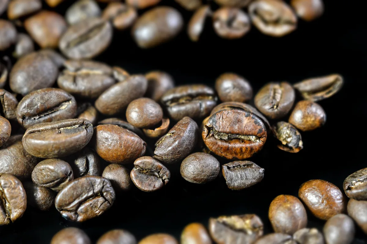 moka pot espresso grind