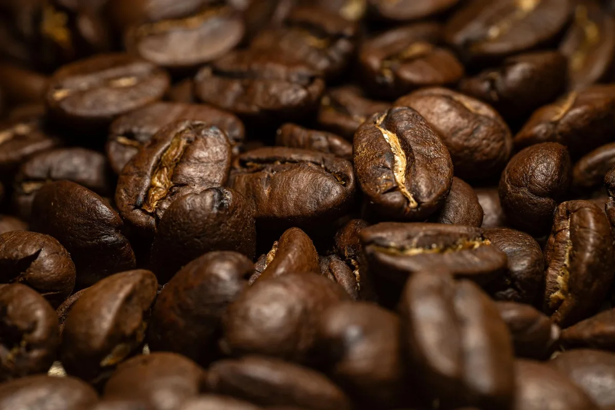 whole bean vs ground coffee