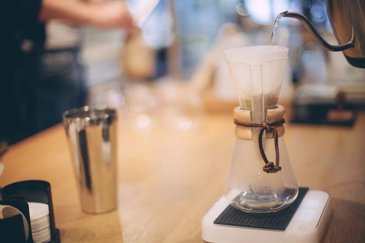 Bunn coffee maker water filter
