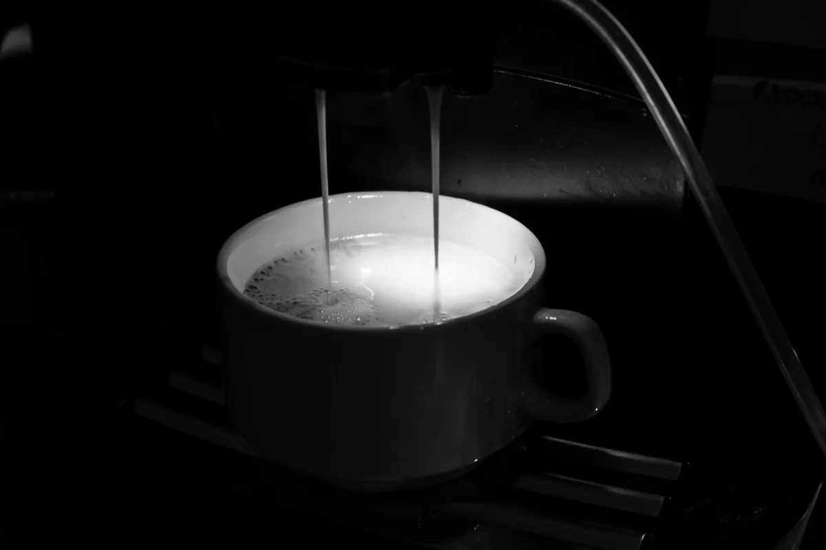 Bunn-O-Matic coffee maker cleaning overview