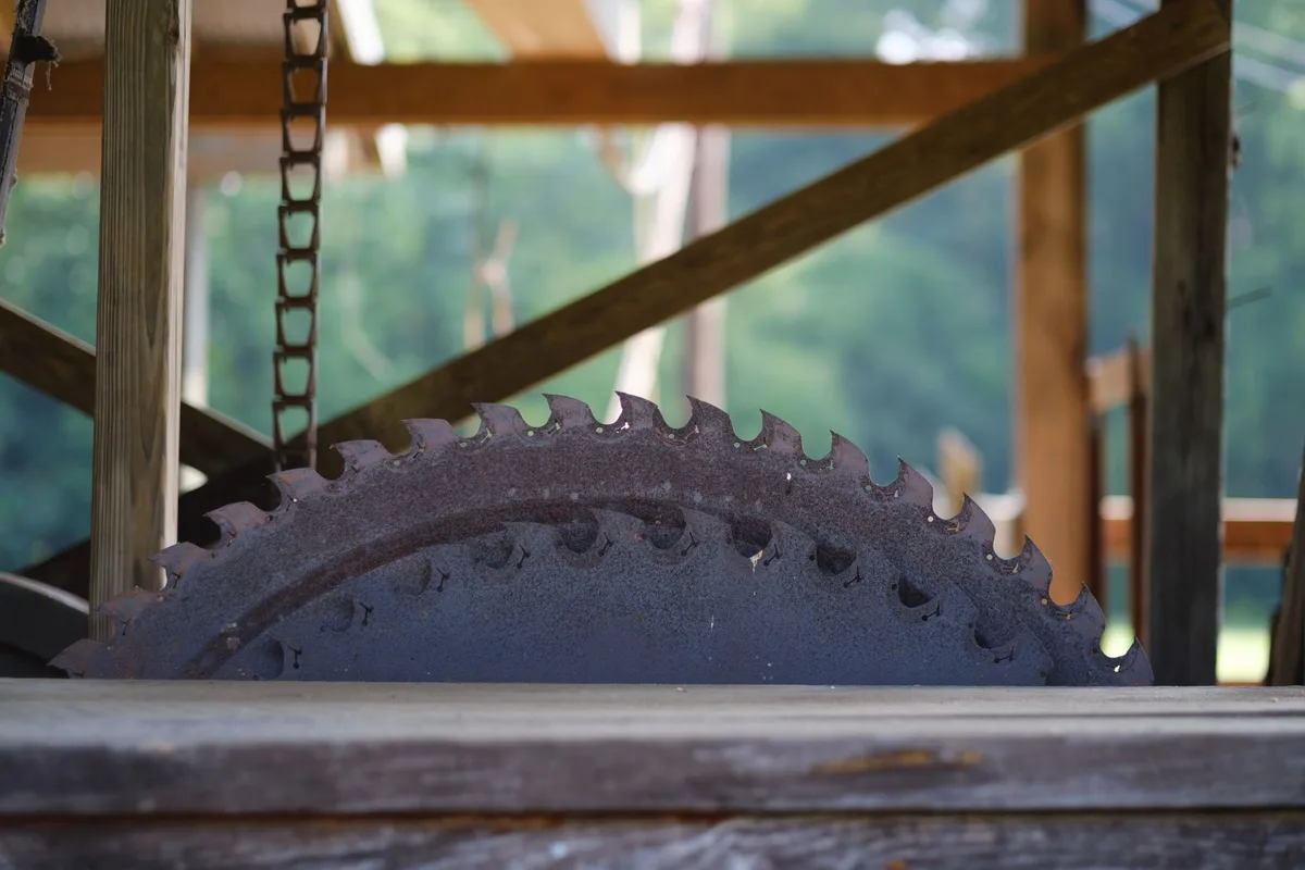 miter saw blade teeth